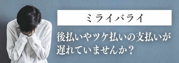 激安の ツルミ 保護装置 <br>801-05300202-9 1個<br><br>  153-6307<br><br><br> 